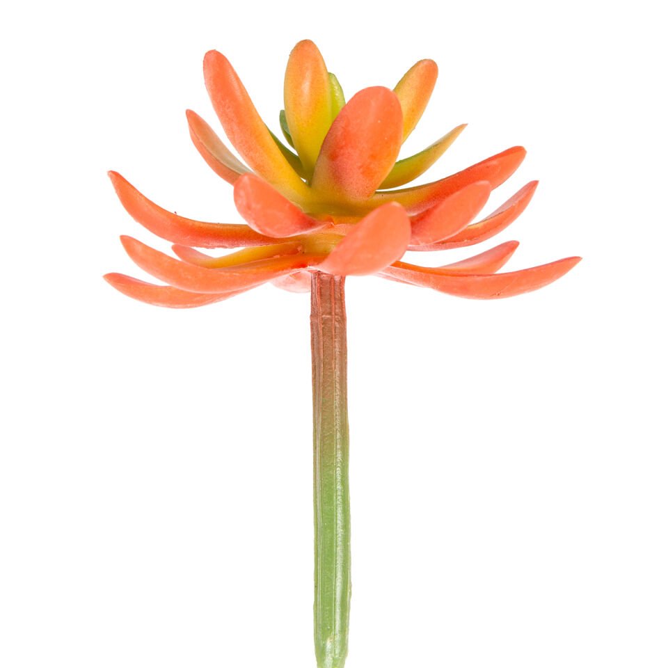 Yapay Kaktüs Sukulent, Kırmızı - 11 cm