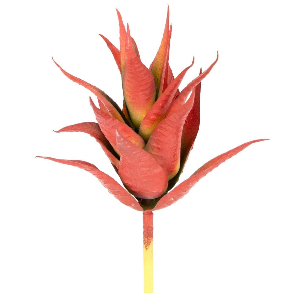 Yapay Kaktüs Sukulent, Kırmızı - 17 cm