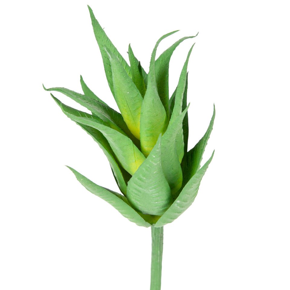 Yapay Kaktüs Sukulent, Yeşil - 17 cm