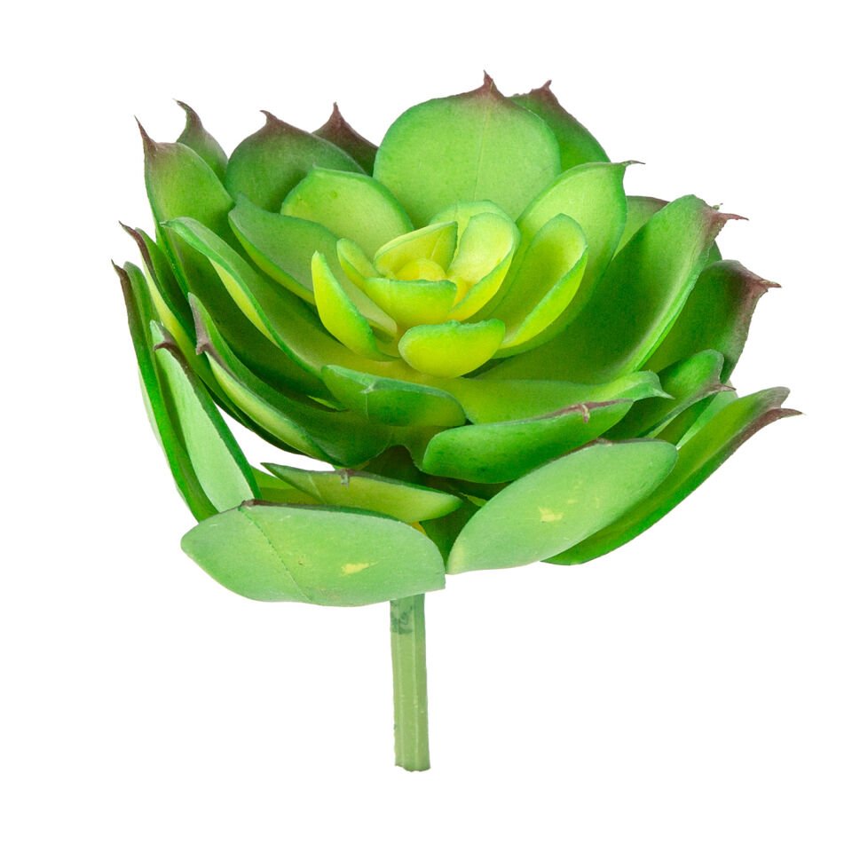 Yapay Eçeverya Sukulent Kaktüs, Yeşil - 14 cm