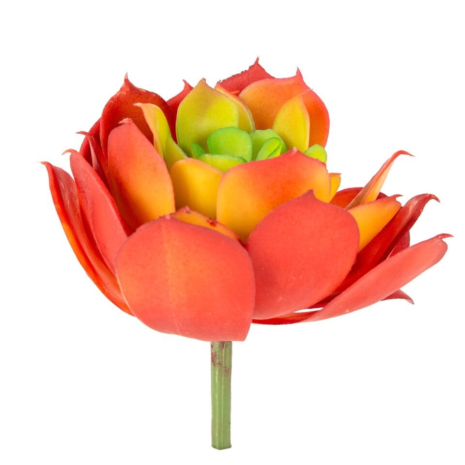 Yapay Eçeverya Sukulent Kaktüs, Kırmızı - 14 cm