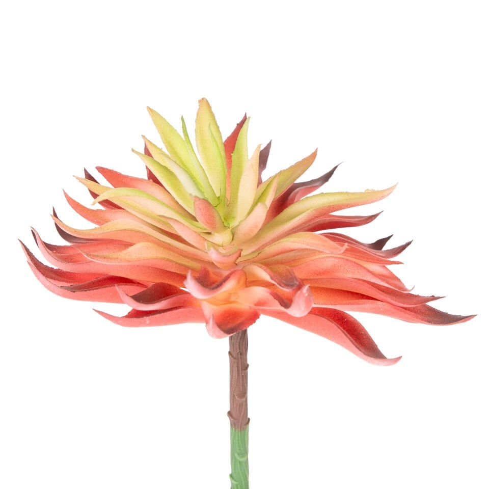 Yapay Kaktüs Sukulent, Kırmızı - 14 cm