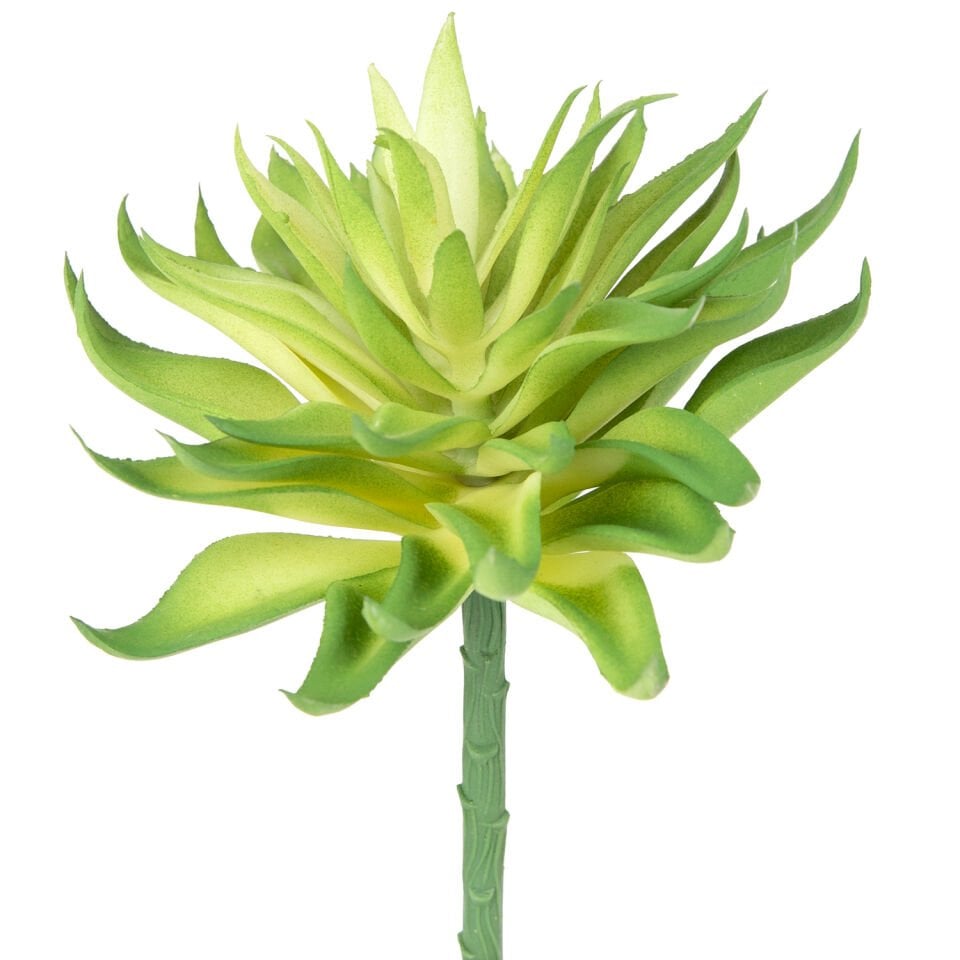 Yapay Kaktüs Sukulent, Yeşil - 14 cm