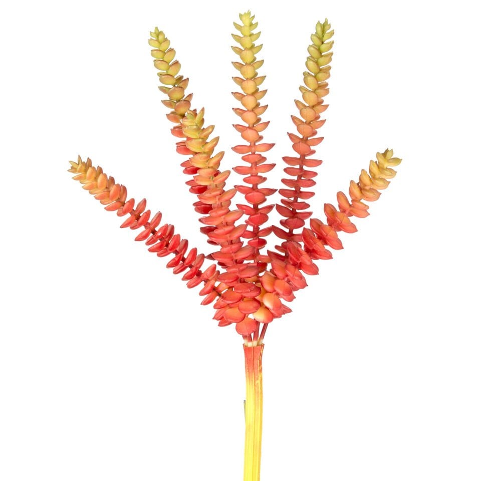 Yapay Kaktüs Sukulent, Kırmızı/Yeşil - 26 cm