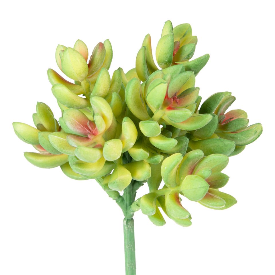 Yapay Bitki, Sukulent, Yeşil - 12 cm