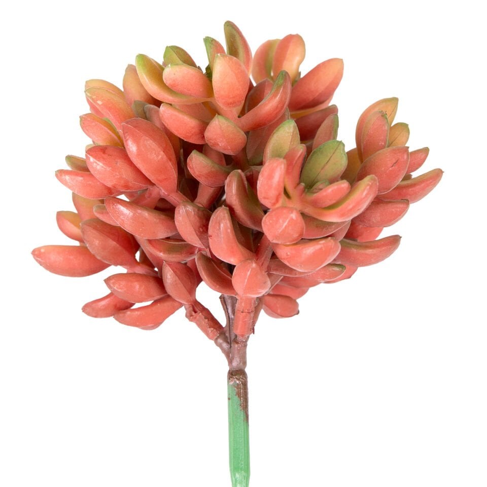 Yapay Kaktüs Sukulent, Kırmızı - 12 cm