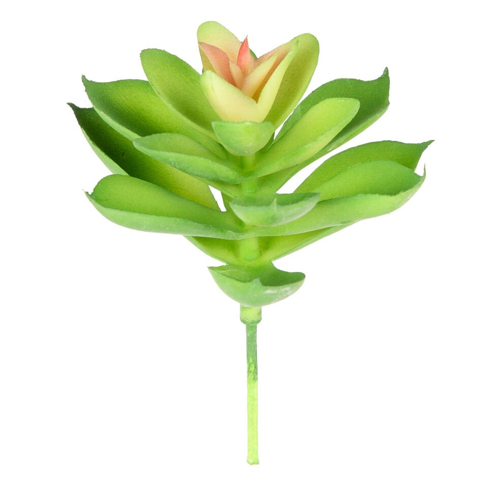 Yapay Kaktüs Sukulent, Yeşil - 11 cm