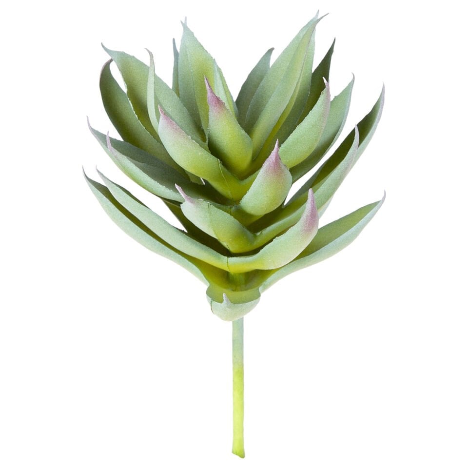 Yapay Kaktüs Sukulent, Yeşil - 18 cm