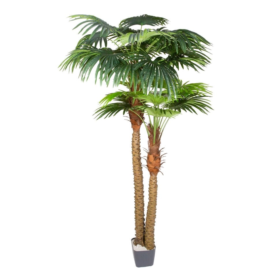 Yapay Fan Palmiye 2 Gövdeli 30 Yaprak Yeşil 240 Cm.