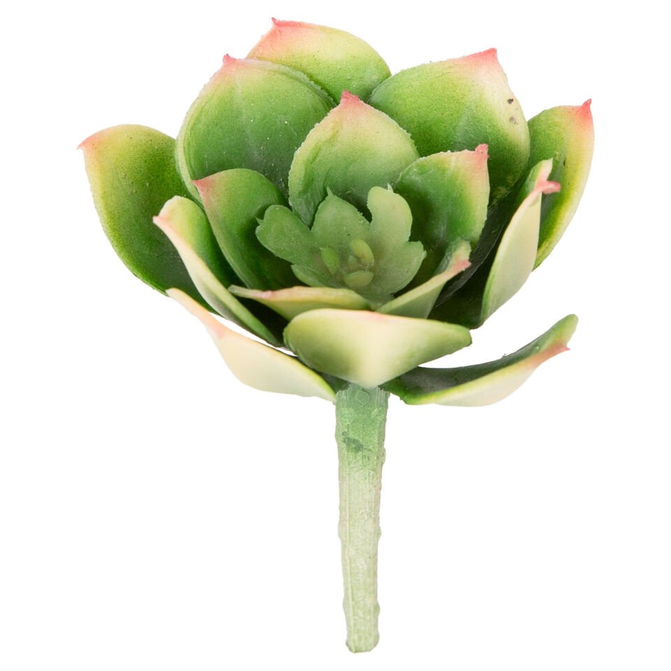 Yapay Kaktüs Sukulent, Yeşil - 12 cm
