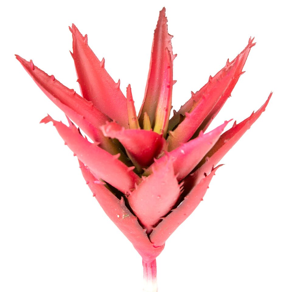 Yapay Kaktüs Sukulent, Kırmızı - 15 cm