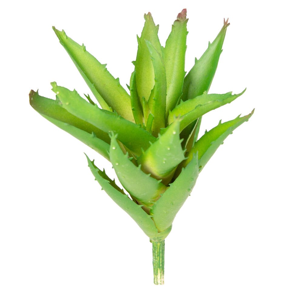 Yapay Kaktüs Sukulent, Yeşil - 15 cm