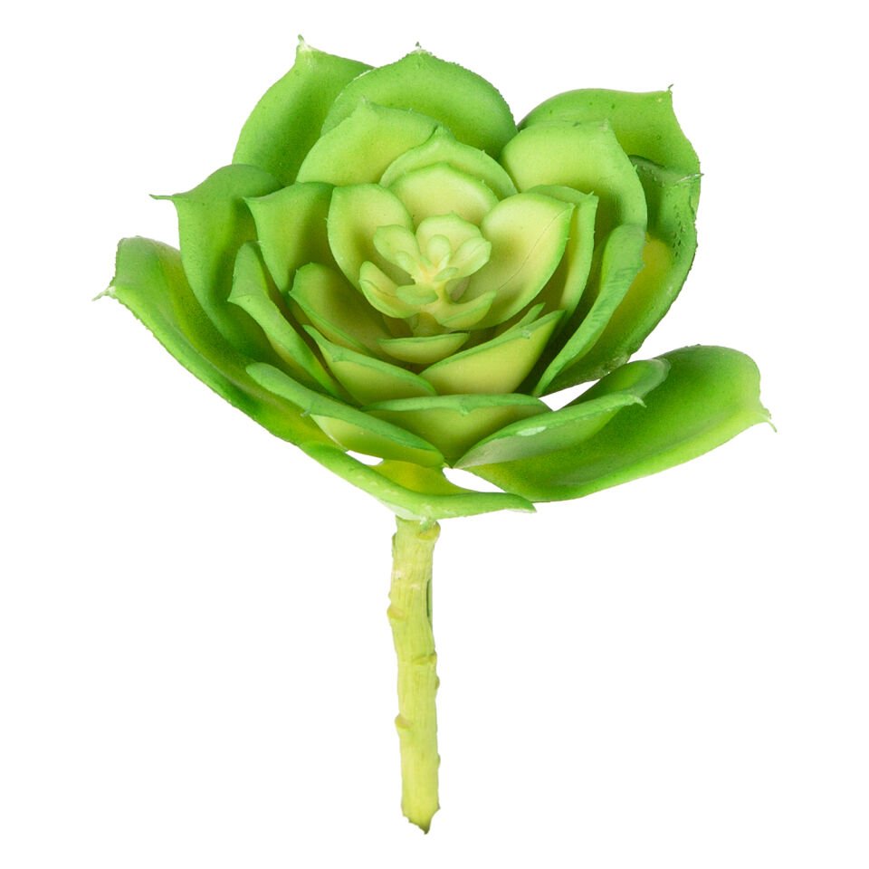 Yapay Kaktüs Sukulent, Yeşil - 15 cm