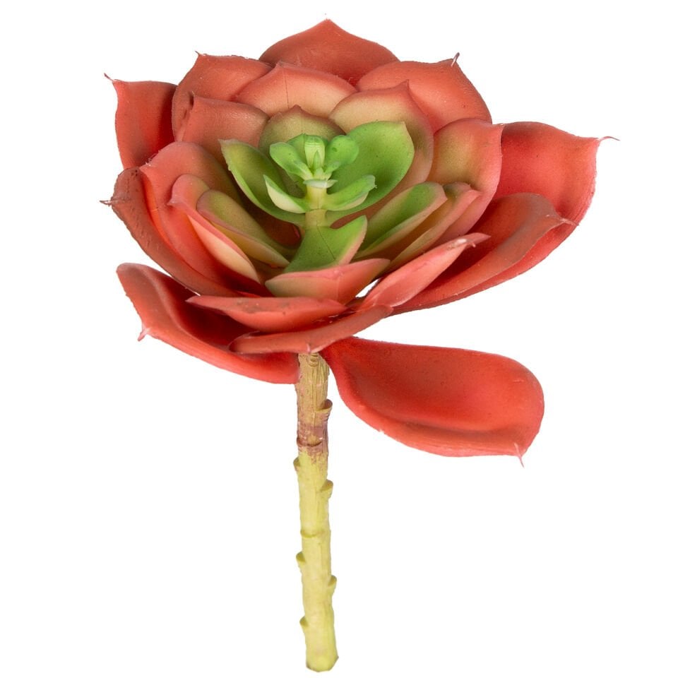 Yapay Kaktüs Sukulent, Kırmızı - 15 cm