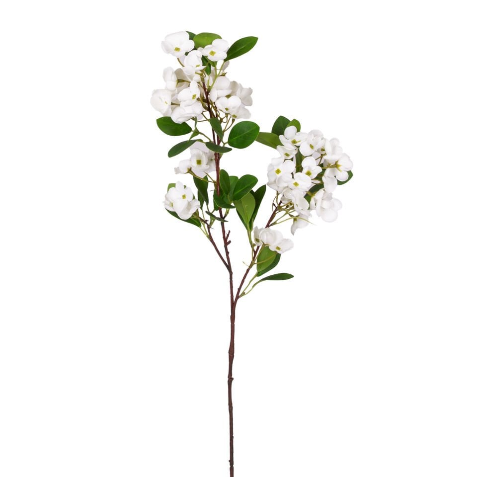 Yapay Sütleğen Çiçek, Islak Dokulu, Beyaz - 77 cm