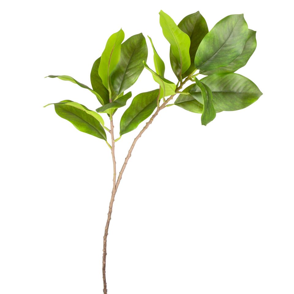 Yapay Bitki, Manolya Dalı, Yeşil - 75 cm