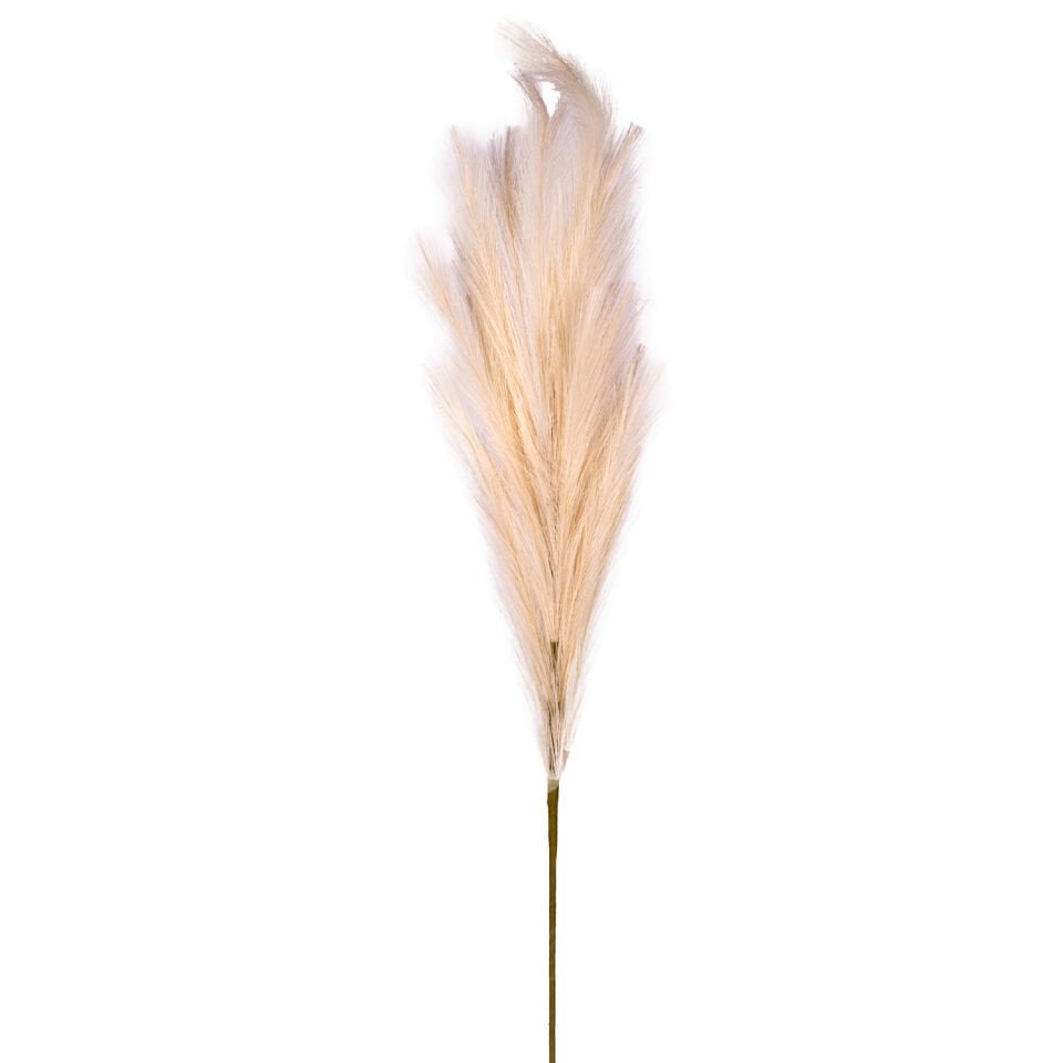 Yapay Bitki, Pampas, Kahve - 108 cm