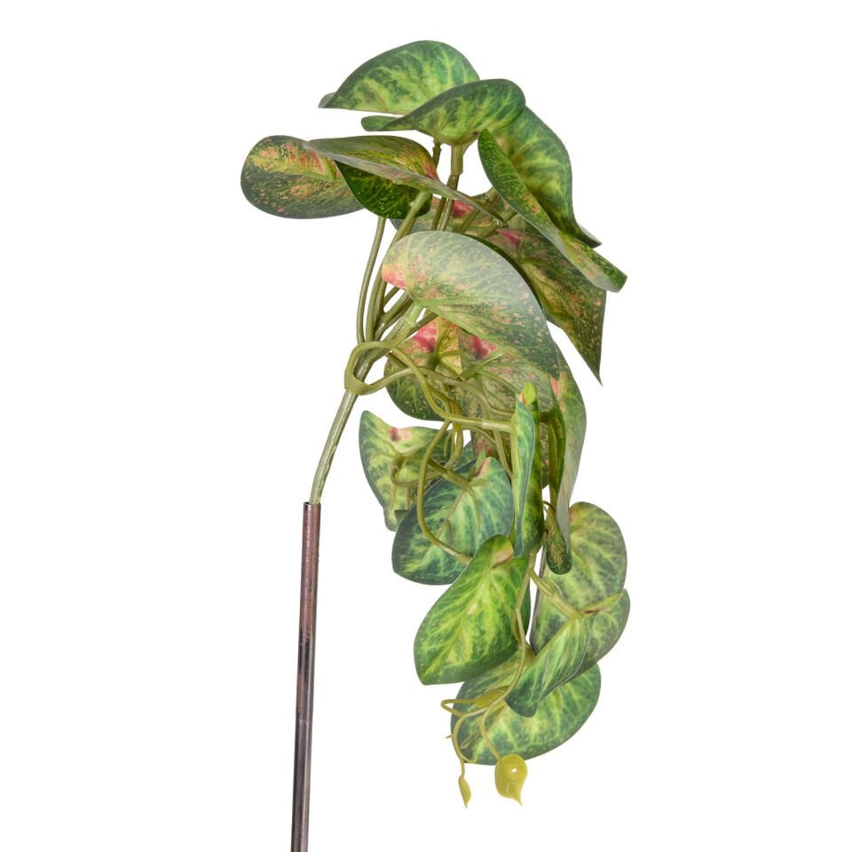 Yapay Bitki, Salon Sarmaşığı, Kızıl-Yeşil - 25 cm
