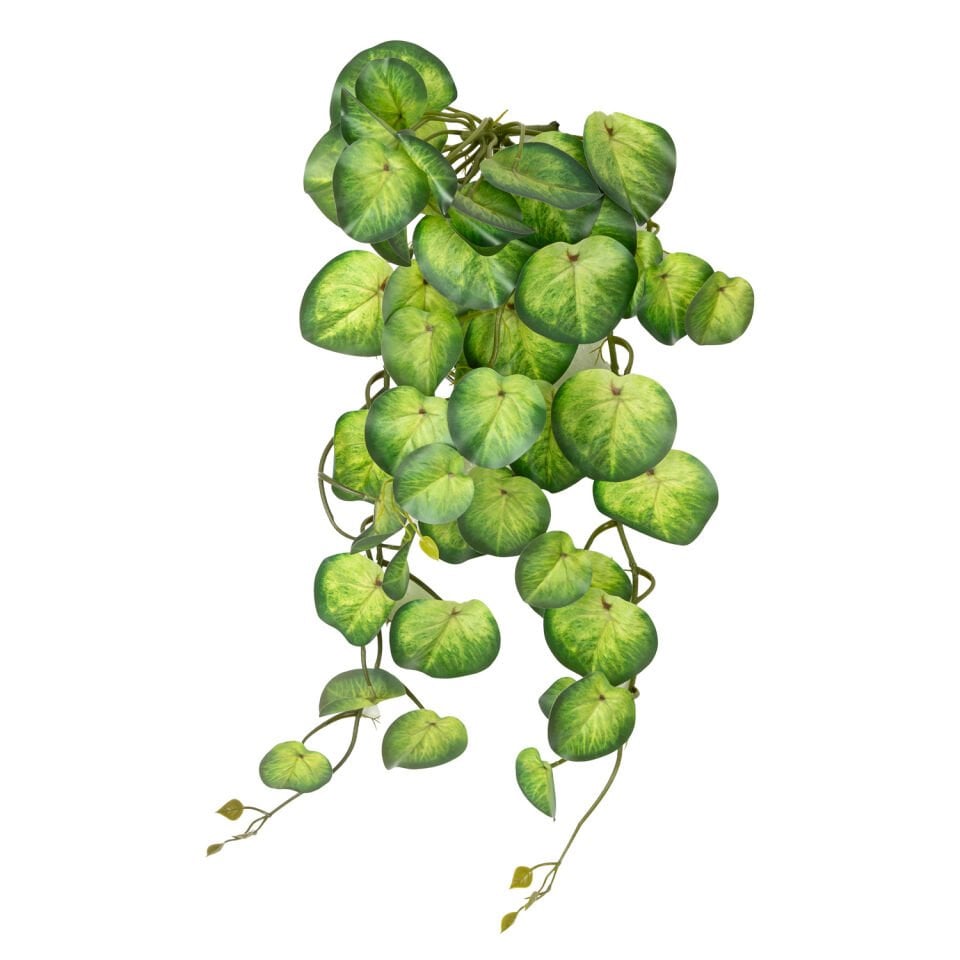 Yapay Bitki, Salon Sarmaşığı, Peperomia, Yeşil - 65 cm