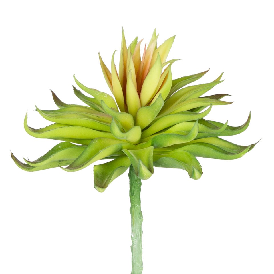 Yapay Kaktüs Sukulent Aloevera Kızıl-Yeşil 15 Cm.