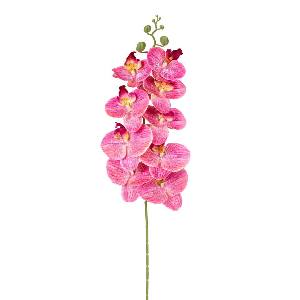 Yapay Çiçek, Orkide, Gerçek Dokunuş, Fuşya-Sarı - 95 cm