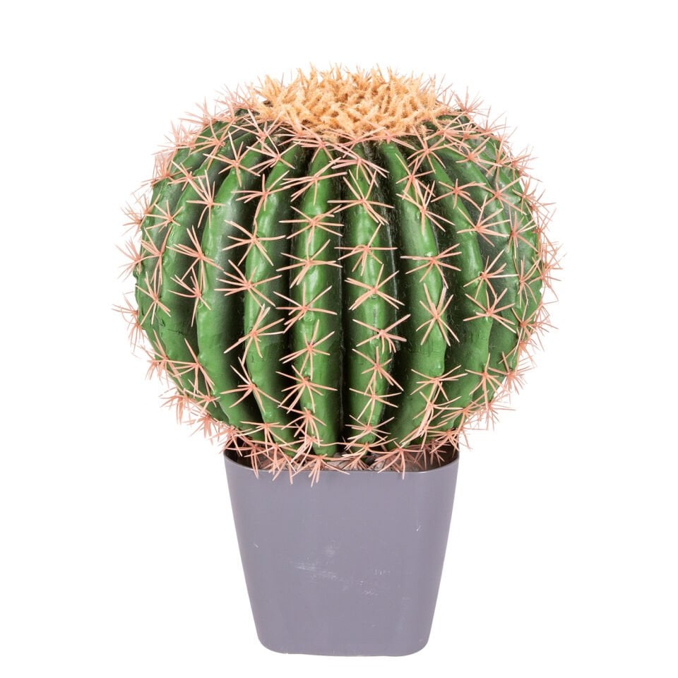 Yapay Kaktüs, Yuvarlak Saksılı - 35 cm