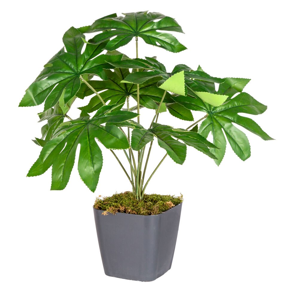 Saksıda Yapay Bitki, Fatsia-Japon Çınarı, Gerçek Dokulu, Yeşil - 9 Yaprak, 48 cm