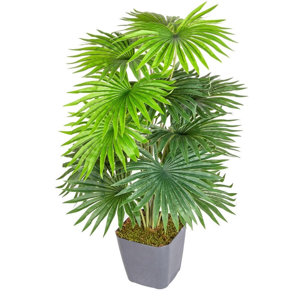 Saksıda Yapay Palmiye, Gerçek Dokulu, Yeşil - 18 Yaprak, 63 cm