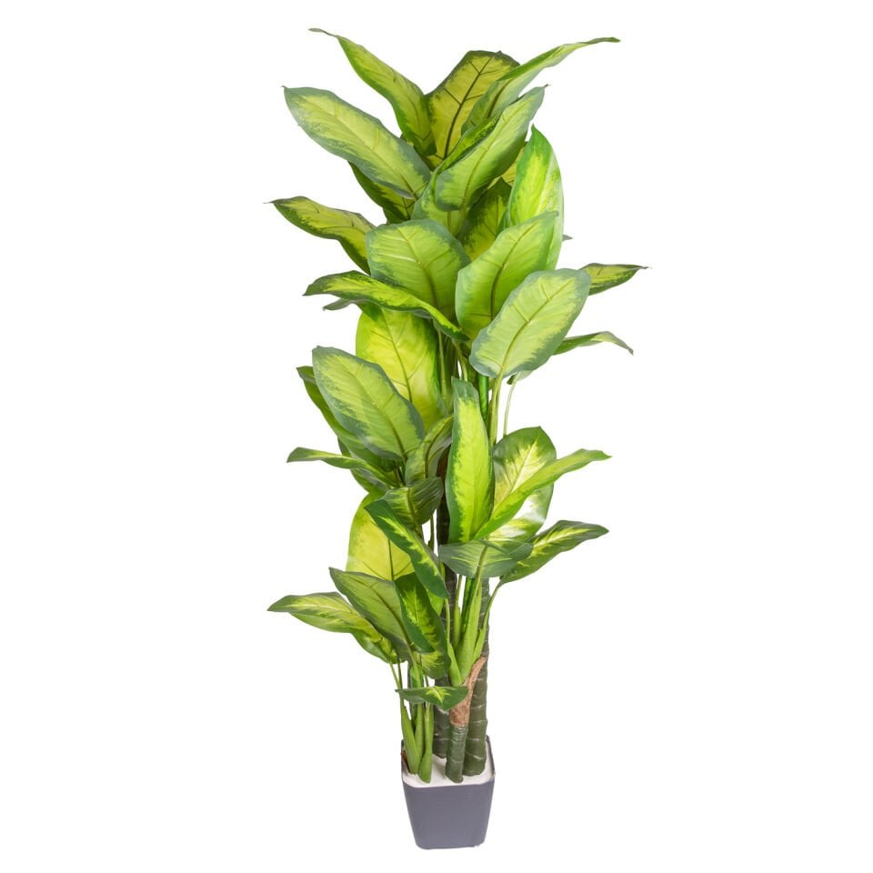 Yapay Ağaç, Difenbahya, Gerçek Dokulu - 47 Yaprak, 180 cm