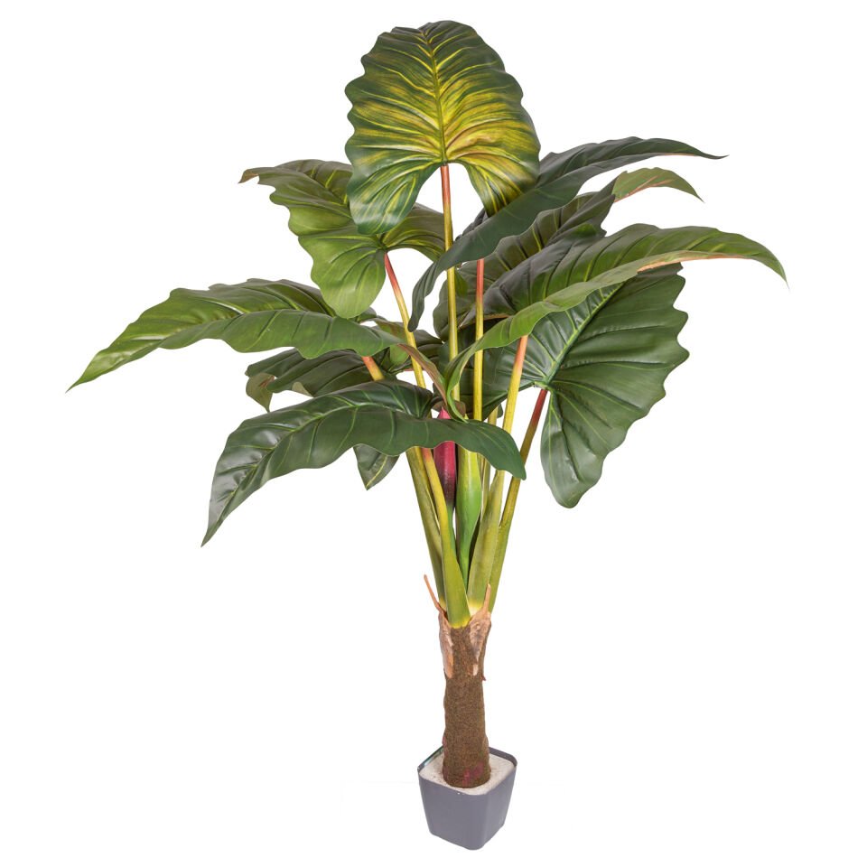 Yapay Alocasia Ağacı, Fil Kulağı, Rainbow (Gökkuşağı) - 170 cm