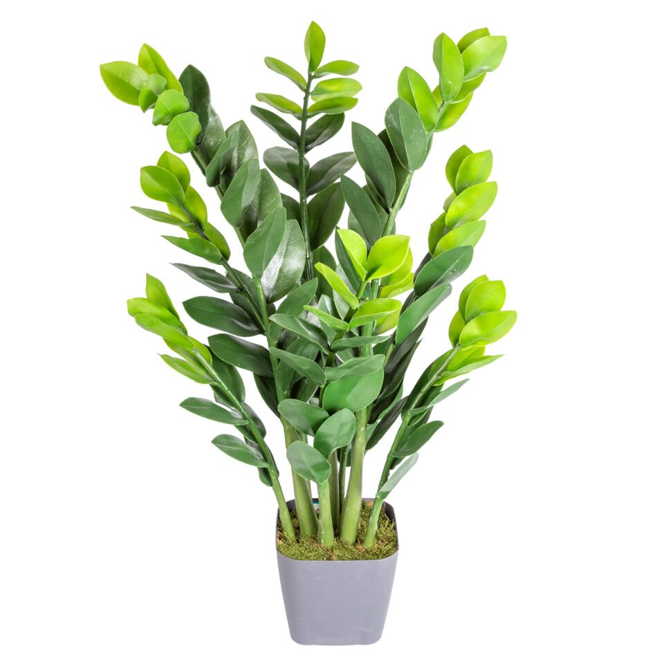 Saksıda Yapay Zamioculcas Ağacı, Yeşil - 90 cm