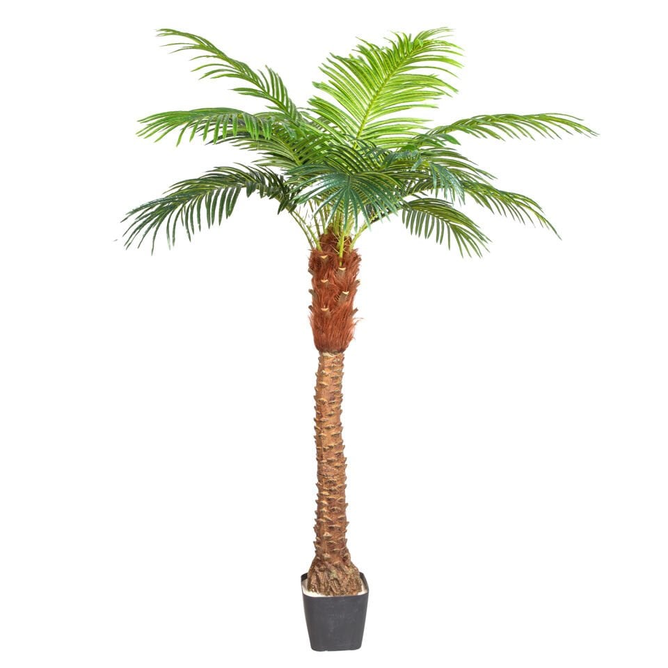 Yapay Phoenix Palmiye Ağacı, Gerçek Dokulu - 15 Yaprak, 200 cm