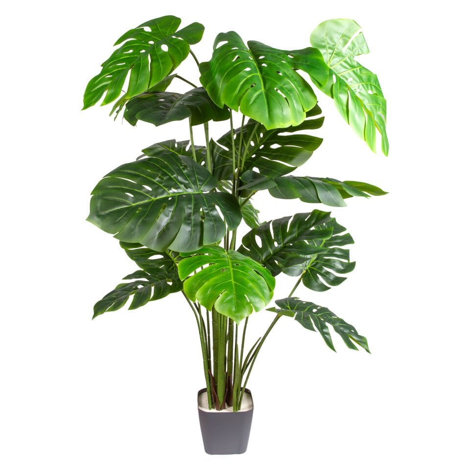 Yapay Monstera - Deve Tabanı Ağacı, Gerçek Dokulu - 20 Yaprak, 165 cm