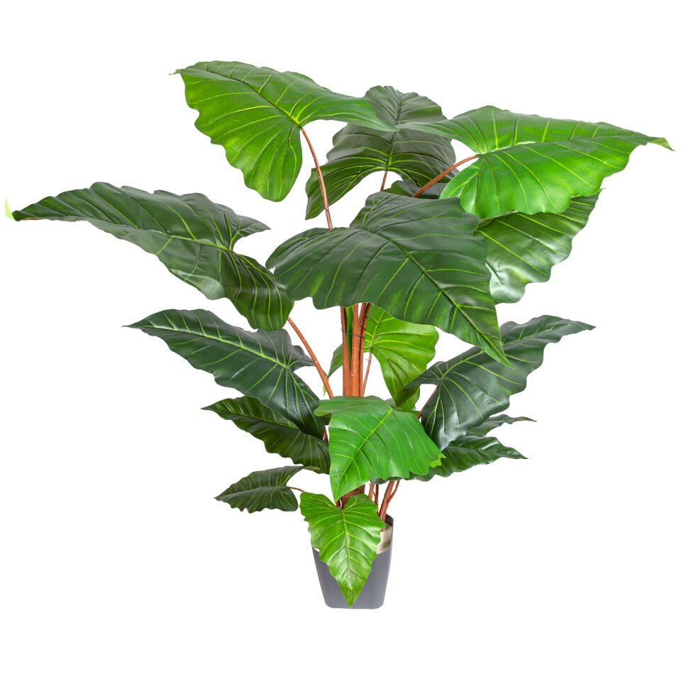 Yapay Alocasia - Fil Kulağı Ağacı, Gerçek Dokulu - 16 Yaprak, 150 cm