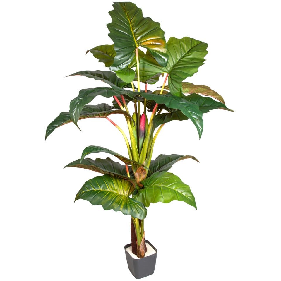 Yapay Alocasia - Fil Kulağı, Rainbow(Gökkuşağı) - 16 Yaprak, 230 cm