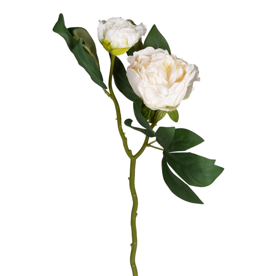 Yapay Çiçek, Şakayık, Kurumuş Efektli, Beyaz - 50 cm