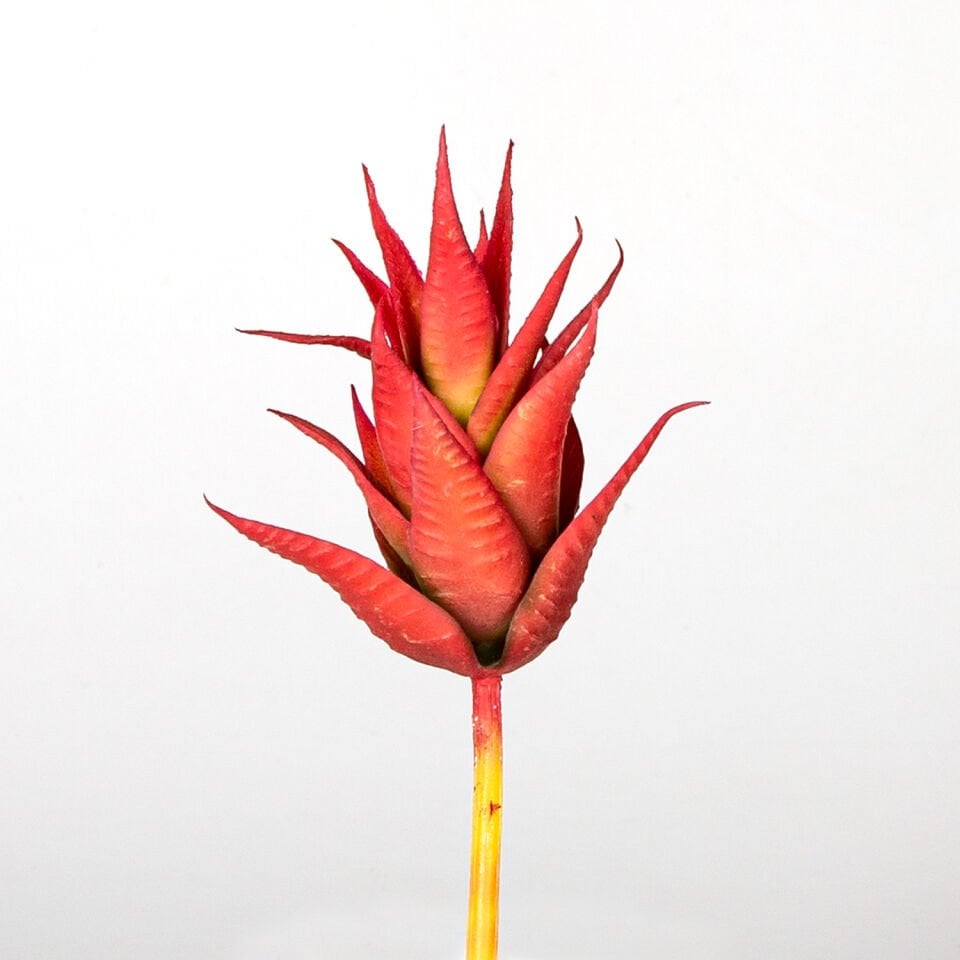 Yapay Kaktüs Sukulent, Kırmızı - 11 cm