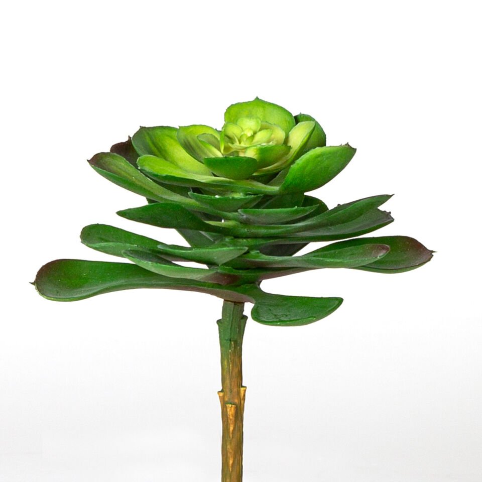 Yapay Kaktüs Sukulent, Yeşil - 15 cm