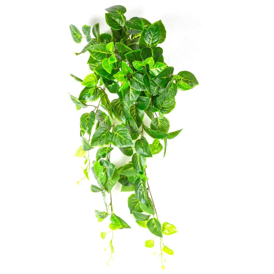 Yapay Asılabilir Sarmaşık, Perilla-Biftek Otu, Gerçek Dokulu, Yeşil - 82 cm