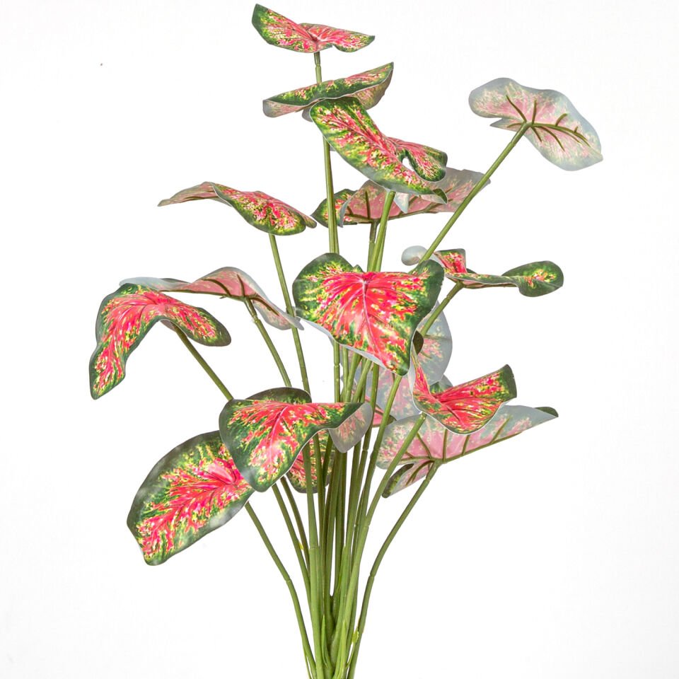 Yapay Bitki, Caladium-Kaladyum Demet, Gerçek Dokulu - 18 Yaprak, 46 cm
