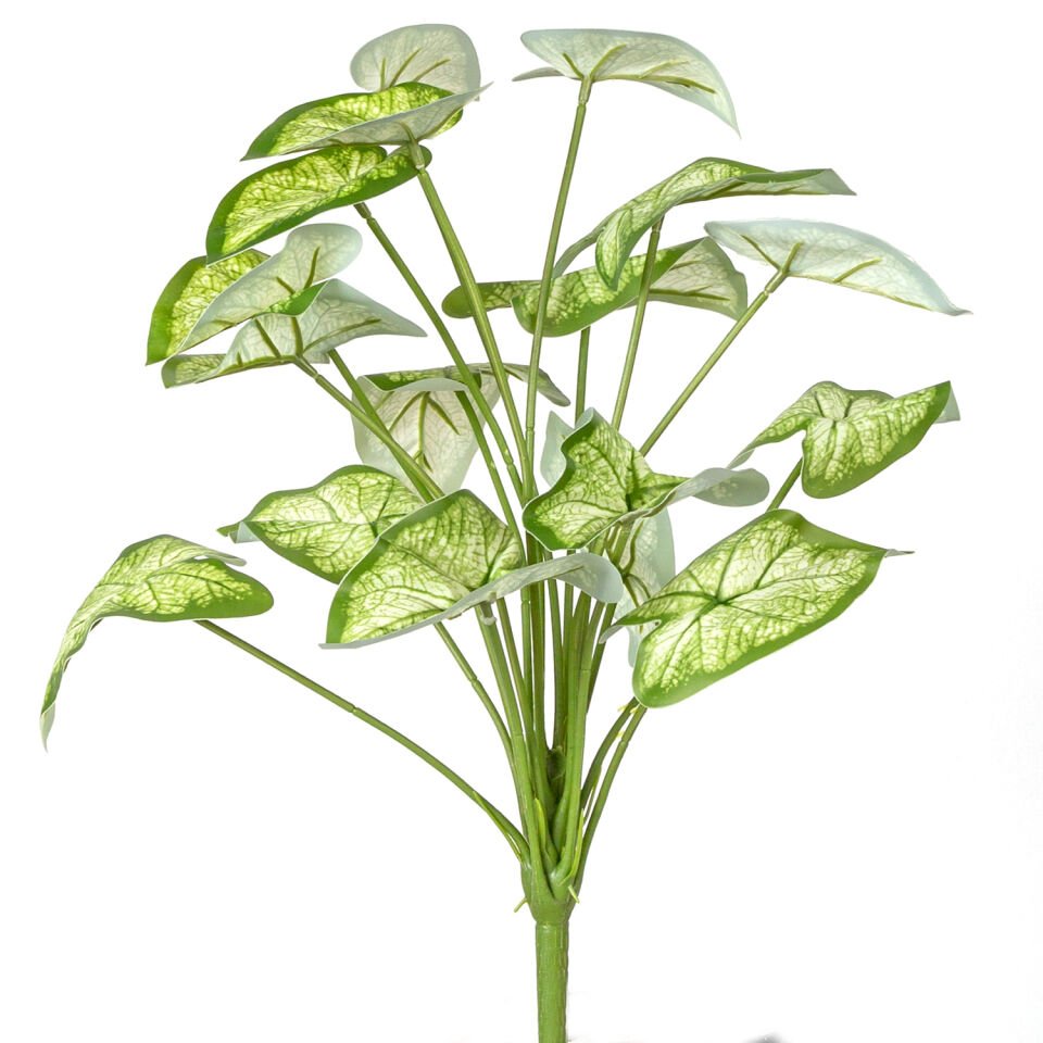 Yapay Bitki, Syngonium-Melek Kanadı, Gerçek Dokulu, Yeşil-Beyaz - 18 Yaprak, 46 cm