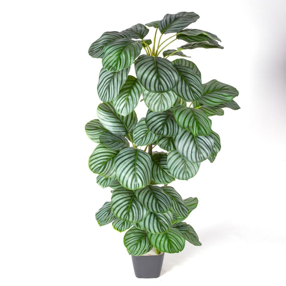 Yapay Ağaç, Ararot-Arrowroot, Gerçek Dokulu, Yeşil - 64 Yaprak, 120 cm