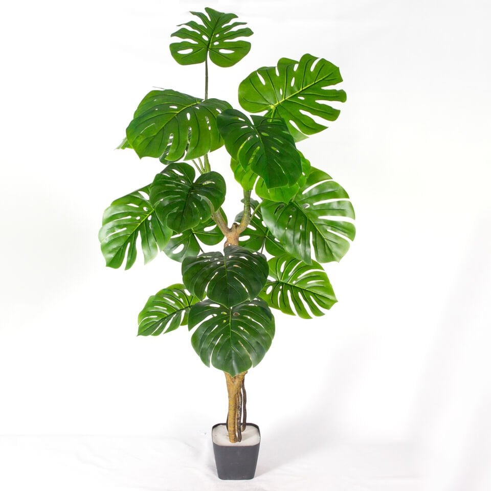 Yapay Ağaç, Monstera-Deve Tabanı, Gerçek Dokulu, Yeşil - 16 Yaprak, 160 cm