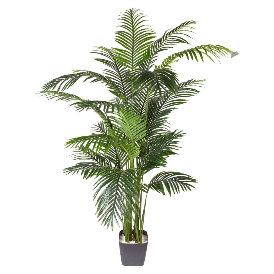Yapay Ağaç Areka Palmiye, Gerçek Dokulu, Yeşil - 20 Yaprak, 190 cm