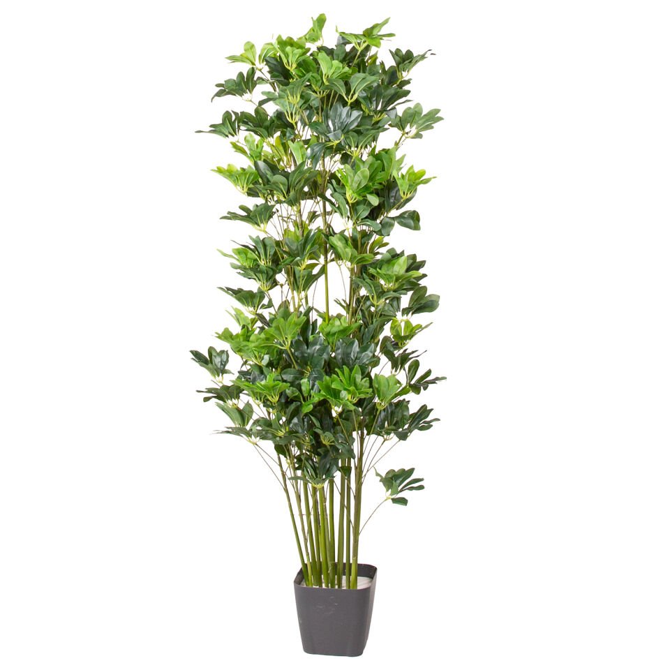 Yapay Ağaç, Şeflara, Gerçek Dokulu, Yeşil - 150 cm