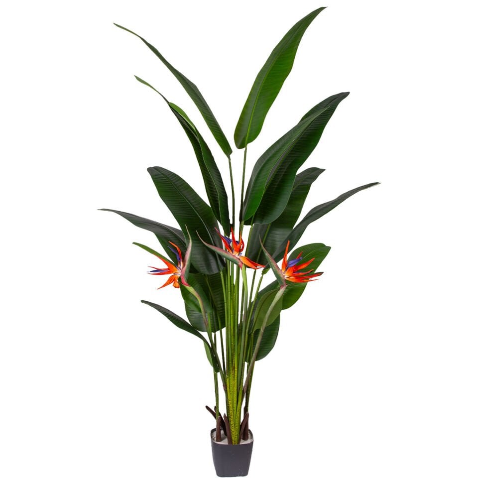 Yapay Ağaç Starliçe, Gerçek Dokulu, Yeşil - 15 Yaprak, 3 Çiçekli, 210 cm