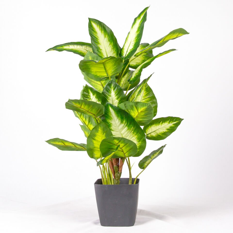 Saksıda Yapay Bitki, Rohdea Japonica, Gerçek Dokulu, Yeşil-Beyaz - 32 Yaprak, 70 cm