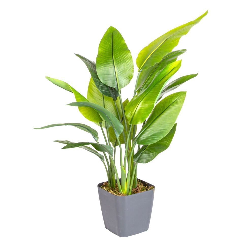 Saksıda Yapay Ağaç, Starliçe, Gerçek Dokulu, Yeşil - 15 Yaprak, 63 cm