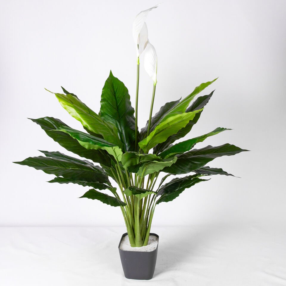 Yapay Bitki, Spathiphyllum-Yelken Çiçeği, Gerçek Dokulu, Yeşil-Beyaz - 70 cm