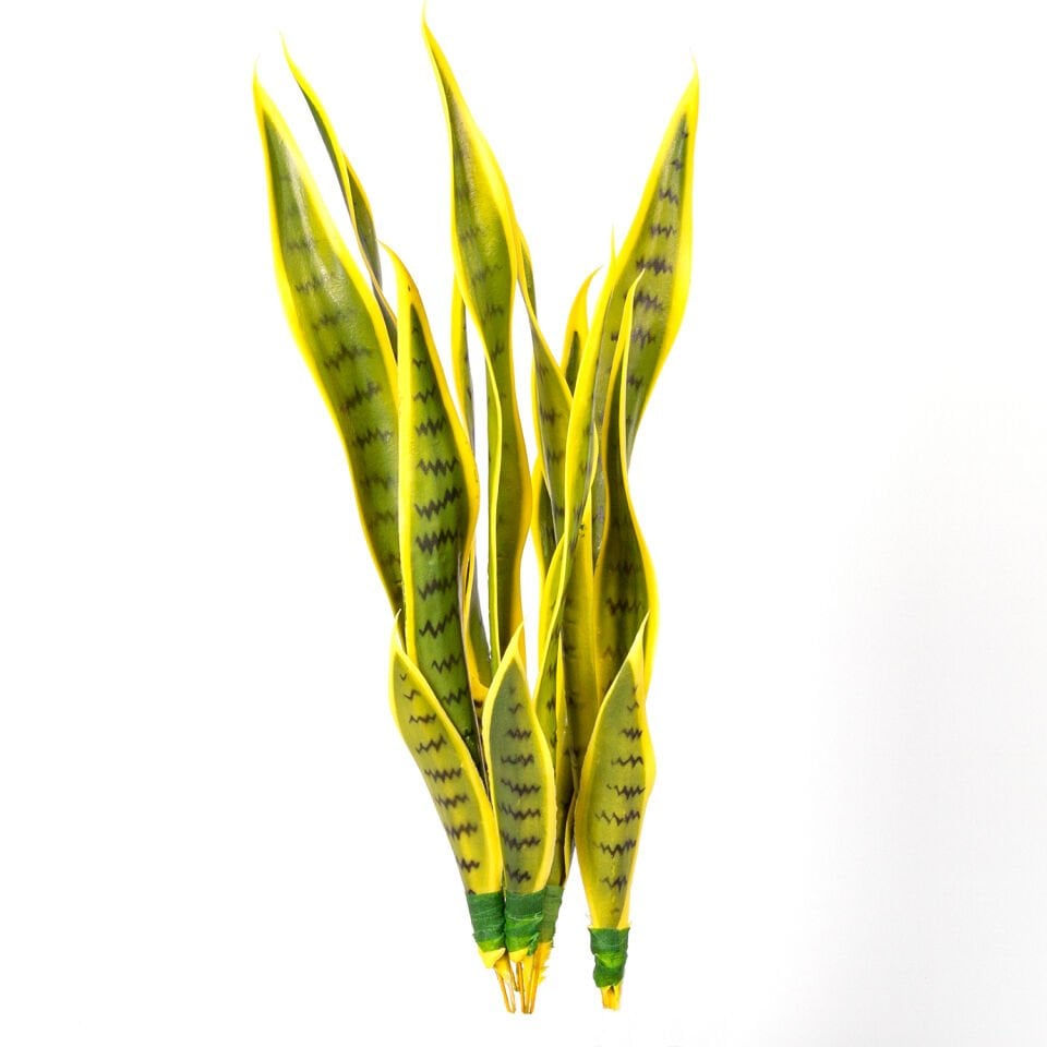 Yapay Bitki, Paşa Kılıcı, Gerçek Dokulu, Sarı-Yeşil - 15 Yaprak, 53 cm